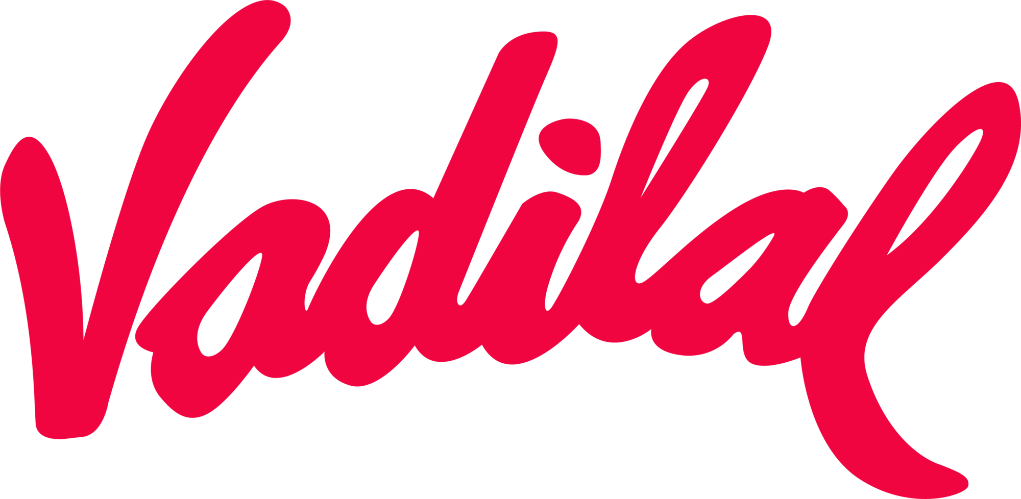 vadilal-seeklogo
